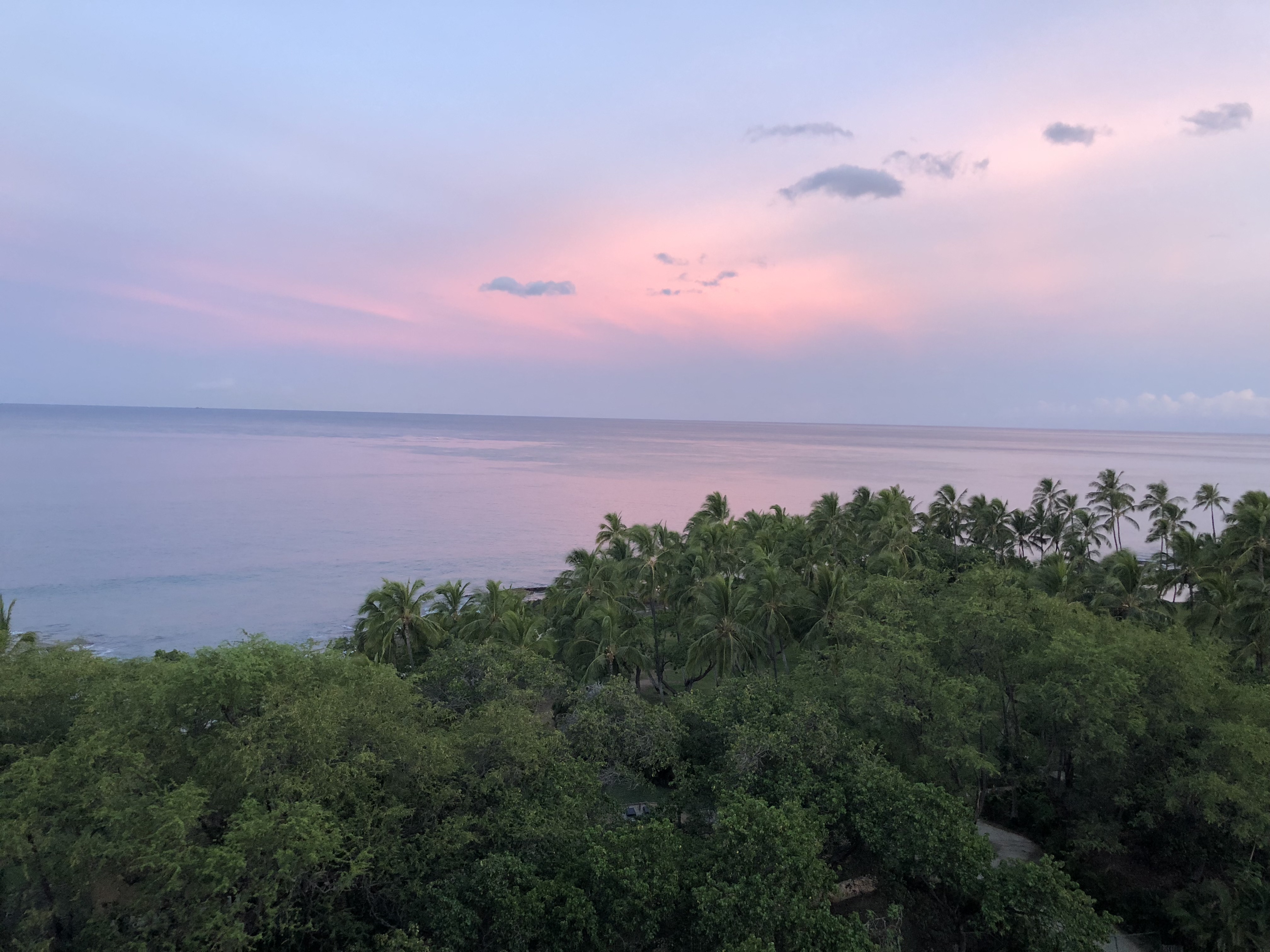 Non-Toxic Travel Tips