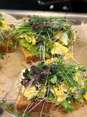 Avocado Eggs and Micro-greens on Pumpkin Toast!