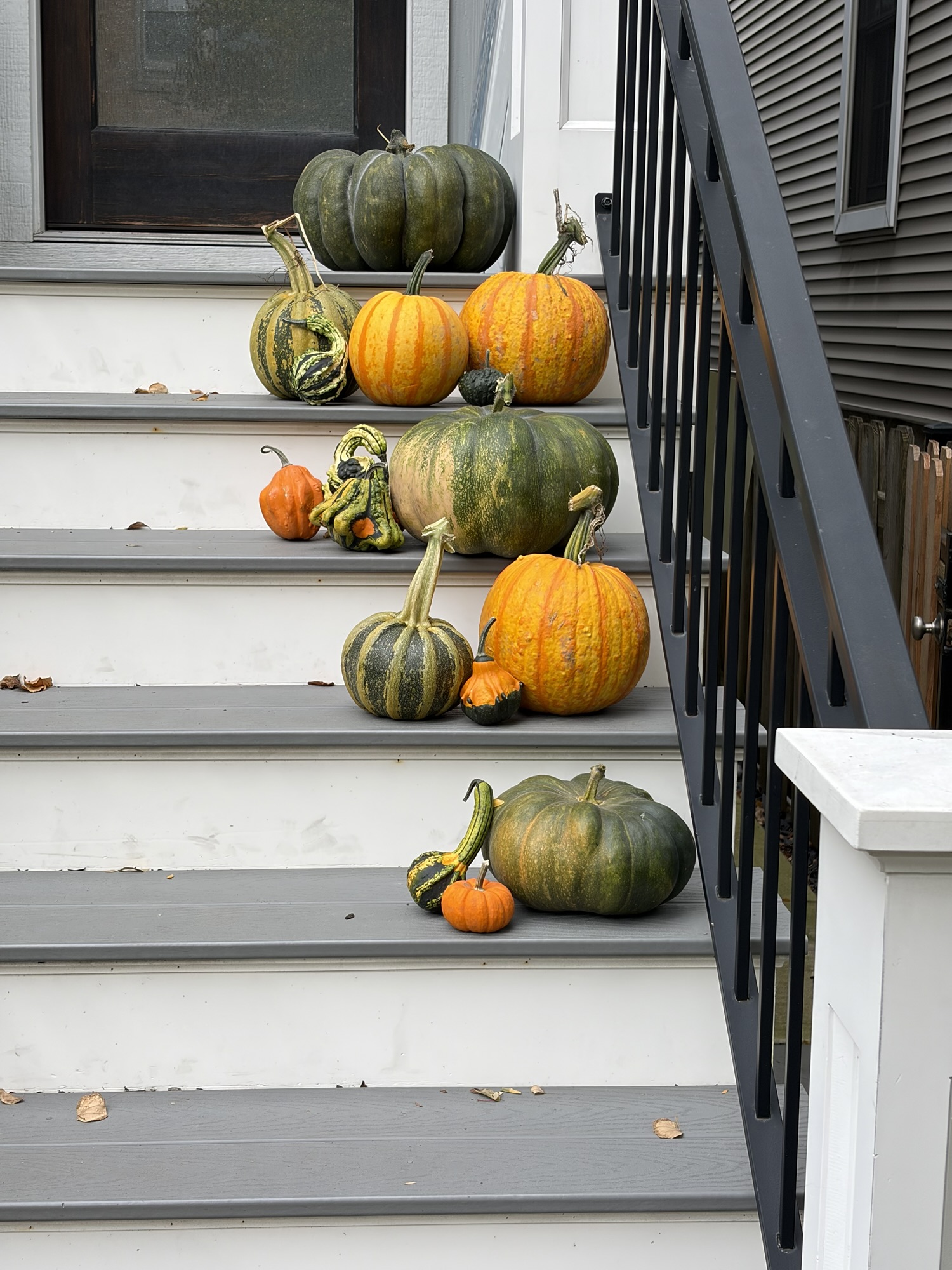 Fall Garden and Planters!